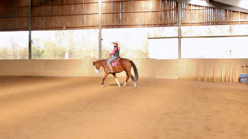Ranch Rail: Übergänge